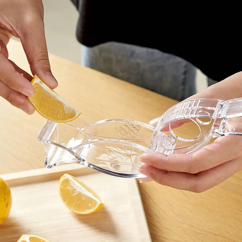 Manual Citrus Juicer in Squeezing Fruits